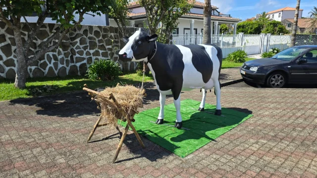 Ilhas dos Açores
