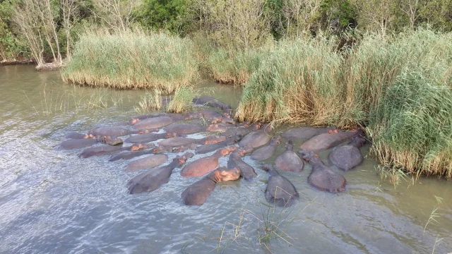 Santa Lucia - Africa do Sul