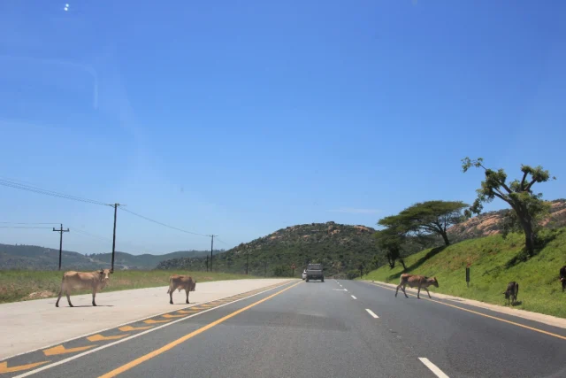 Santa Lucia - Africa do Sul