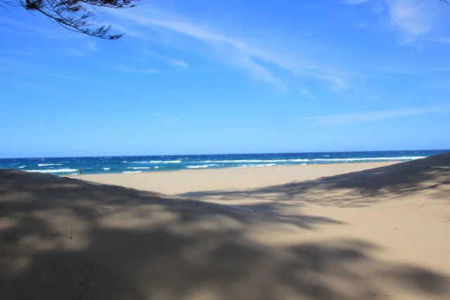 Santa Lucia - Africa do Sul