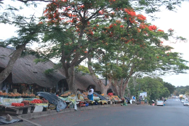 Santa Lucia - Africa do Sul