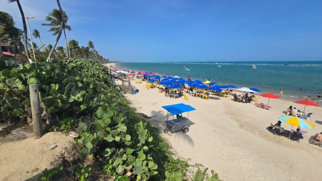Praia do Francês