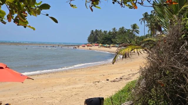 Praia do Sonho Verde