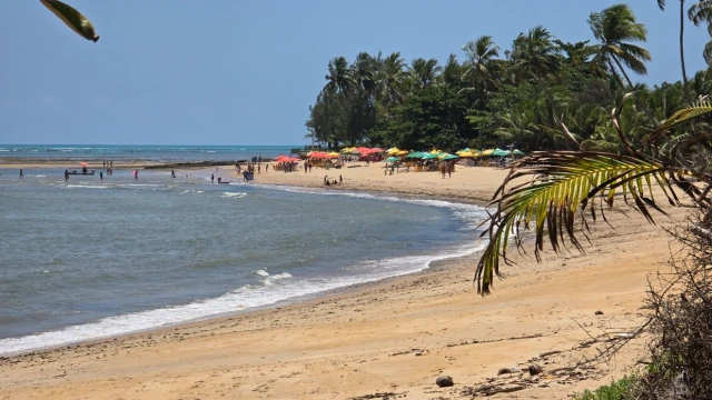 Praia do Sonho Verde