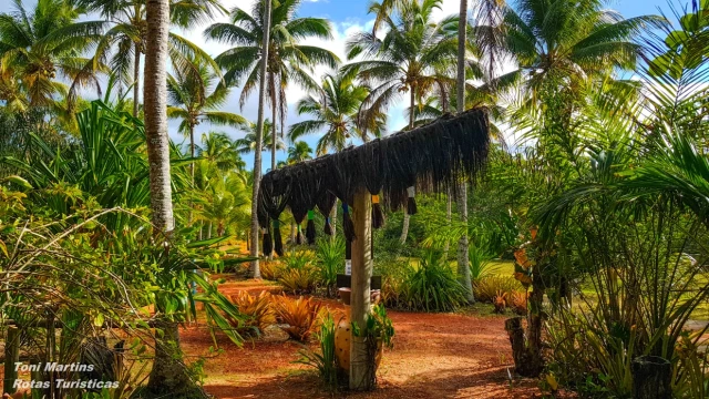 Praia de Guaiu, Porto Seguro - Brasil