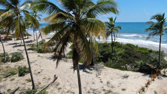 Mogiquiçaba