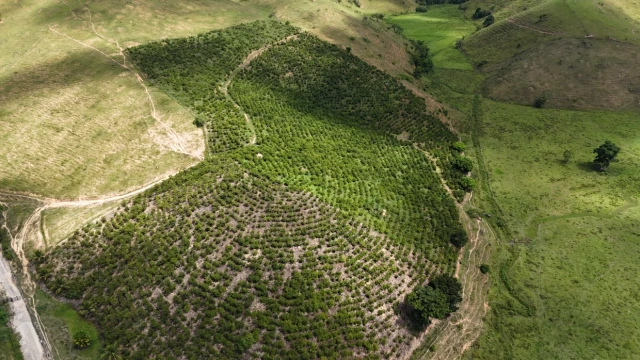 Paisagens do Espirito Santo