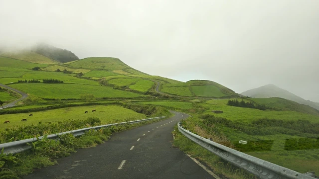 Ilha das Flores, Açores