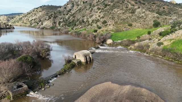 Mertola