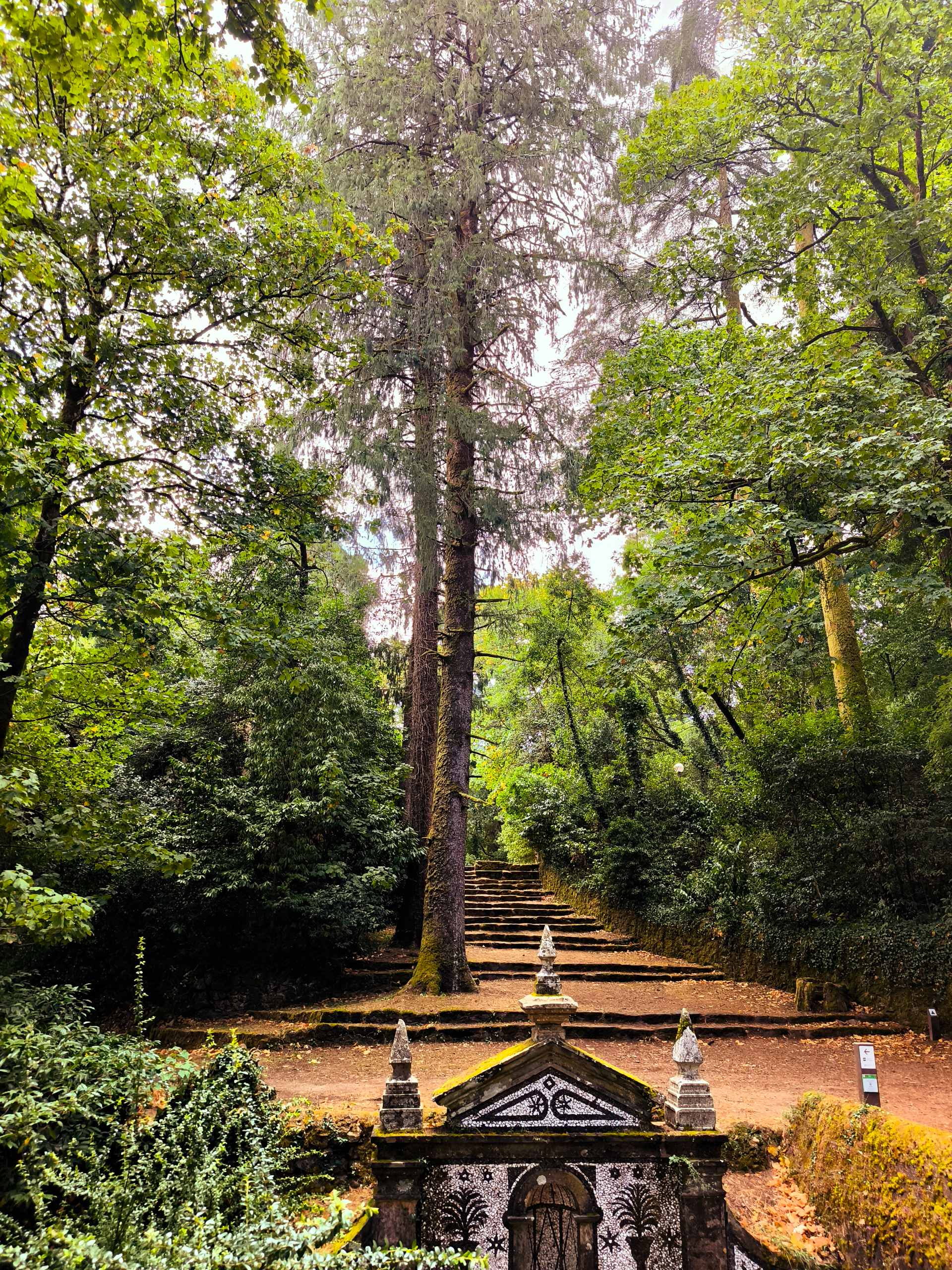 Mata do Buçaco