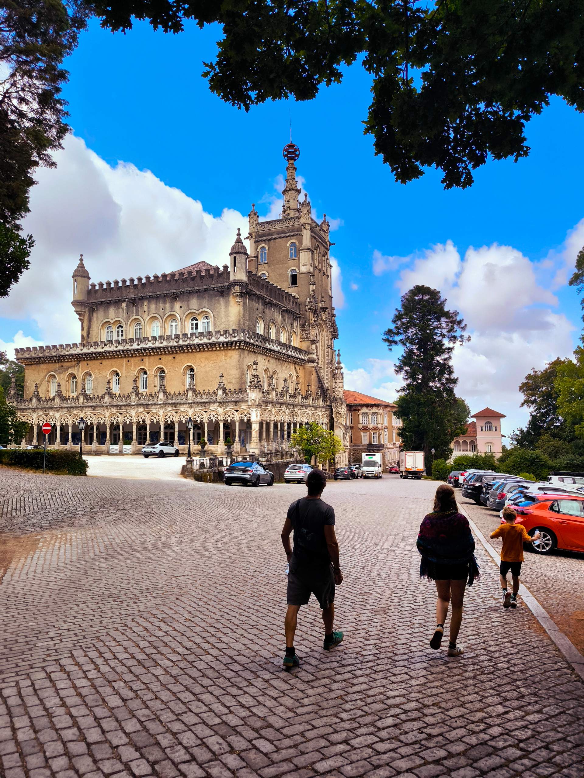 Mata do Buçaco