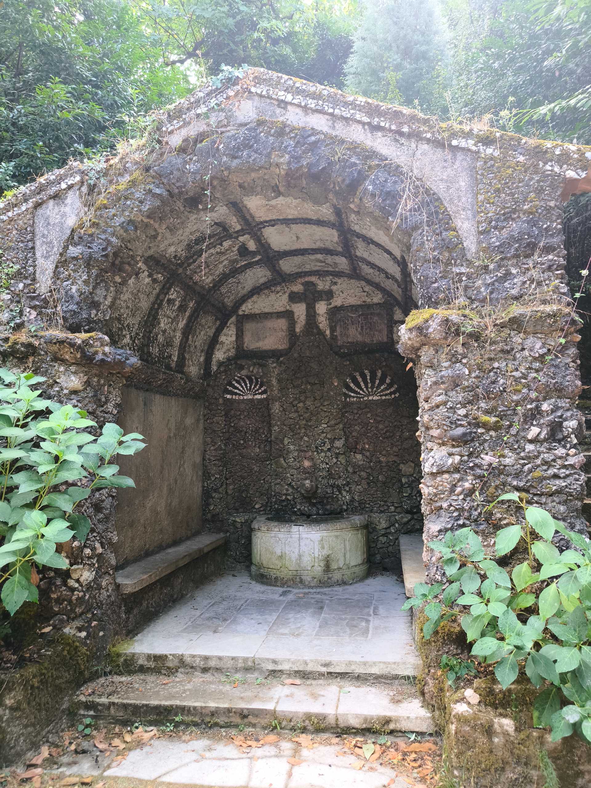 Mata do Buçaco