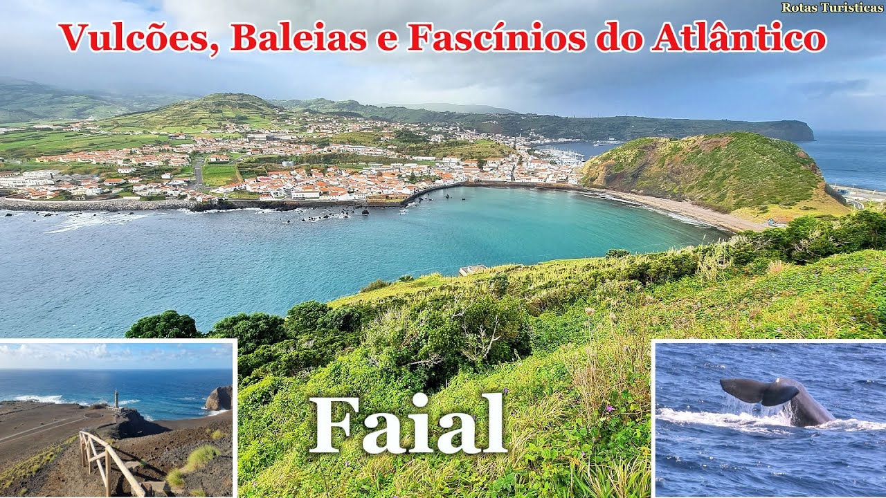 Faial: Entre Vulcões, Baleias e Fascínios do Atlântico